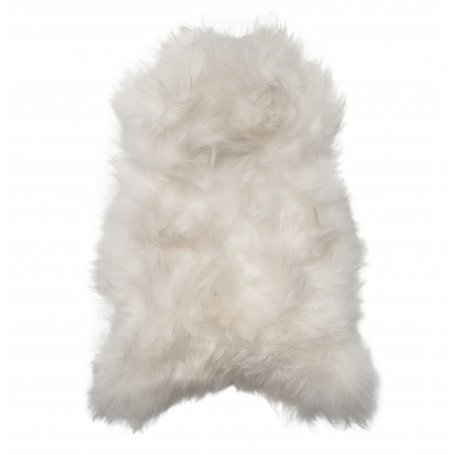 Valkoinen Icelandic lampaantalja