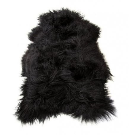 Musta Icelandic lampaantalja